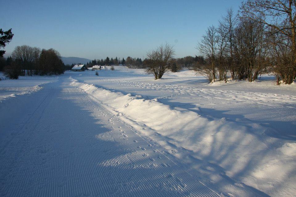 Auberge De La Perdrix Hauterive-la-Fresse Zewnętrze zdjęcie