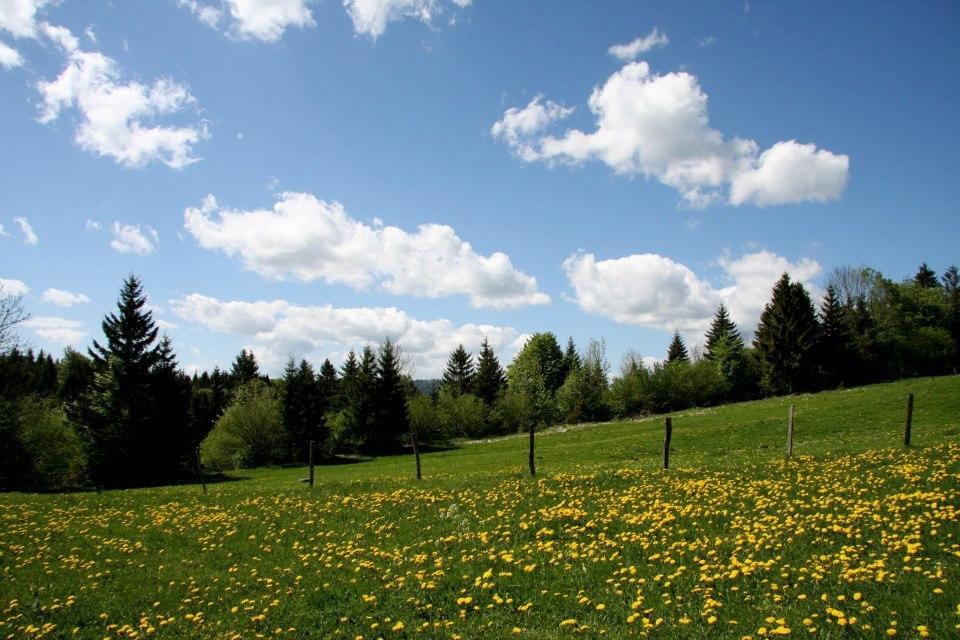 Auberge De La Perdrix Hauterive-la-Fresse Zewnętrze zdjęcie
