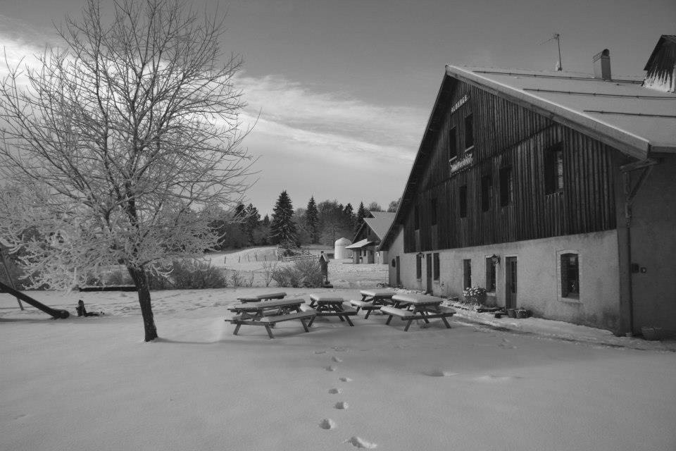 Auberge De La Perdrix Hauterive-la-Fresse Zewnętrze zdjęcie